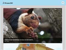 Tablet Screenshot of kanalvis.com